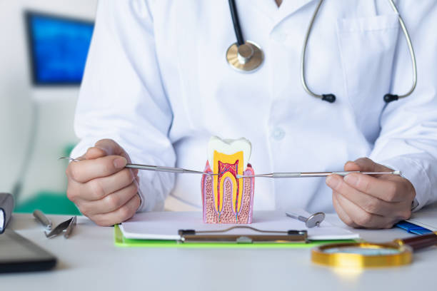 Best Emergency Dental Care for Broken or Chipped Teeth in Wildomar, CA